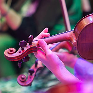 1. Sinfoniski koncert